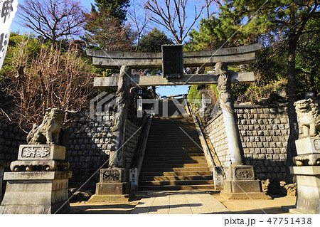 1月　品川150双竜鳥居・品川神社･御殿山城南五山 47751438