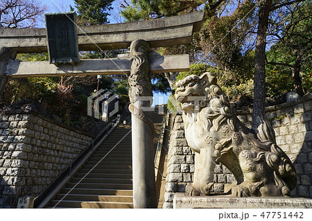 1月 品川146双竜鳥居・品川神社・御殿山城南五山 1月 品川146双竜鳥居・品川神社・御殿山城南五山 47751442