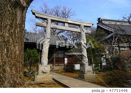 1月　高円寺04高円寺境内・双竜鳥居 47751446
