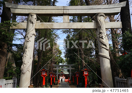 1月　阿佐ヶ谷15双竜鳥居・馬橋稲荷神社参道 47751465