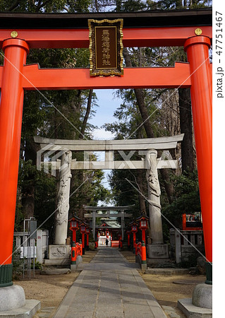 1月 阿佐ヶ谷13双竜鳥居・馬橋稲荷神社参道 1月 阿佐ヶ谷13双竜鳥居・馬橋稲荷神社参道 47751467