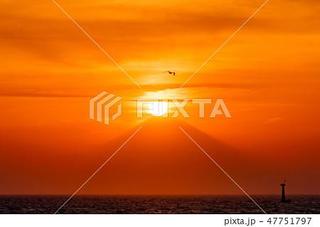 ダイヤモンド富士（三浦半島から望む） 47751797