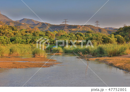 wetland at HA PAK LAI 47752801