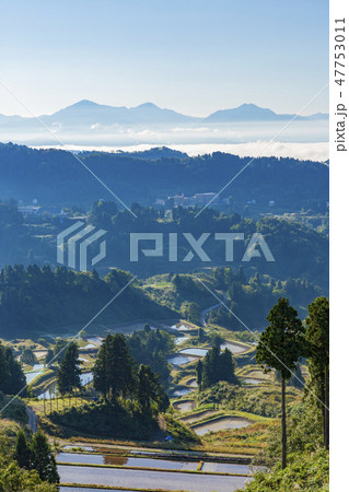 山古志のの棚田と棚池 47753011