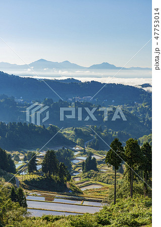 山古志のの棚田と棚池 47753014