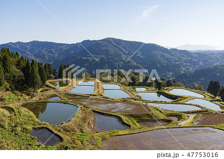 山古志のの棚田と棚池 47753016