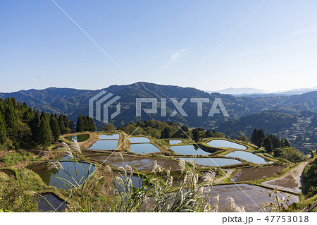山古志のの棚田と棚池 山古志のの棚田と棚池 47753018