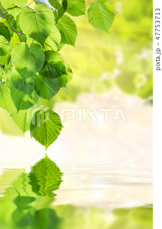 Green background 47753713