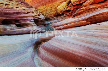 Valley of Fire 47754337