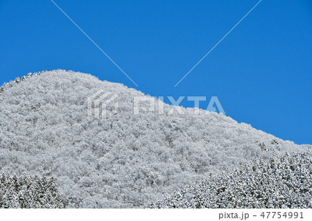 霧氷の山 47754991