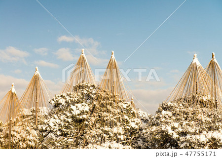 兼六園の雪景色 47755171