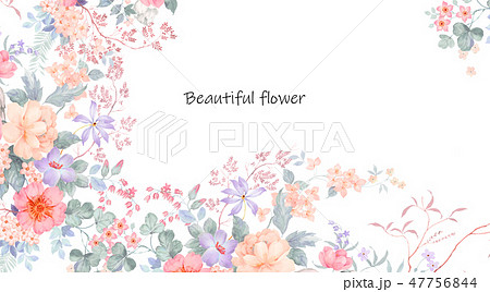 花 フラワー お花 47756844