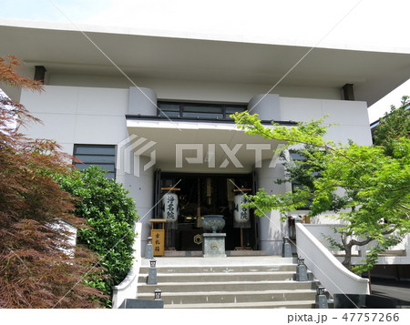 新緑が美しい台東区の浄名院（本堂） 47757266