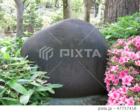 寛永寺にある虫塚碑 寛永寺にある虫塚碑 47757416