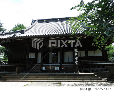 新緑が美しい春の寛永寺(根本中堂) 新緑が美しい春の寛永寺(根本中堂) 47757417