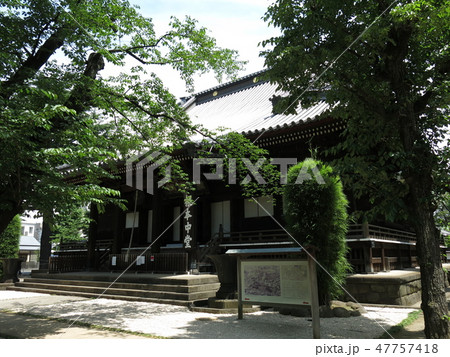 新緑が美しい春の寛永寺(根本中堂) 新緑が美しい春の寛永寺(根本中堂) 47757418