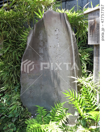 台東区根岸の笹乃雪前にある正岡子規の句碑 台東区根岸の笹乃雪前にある正岡子規の句碑 47757707