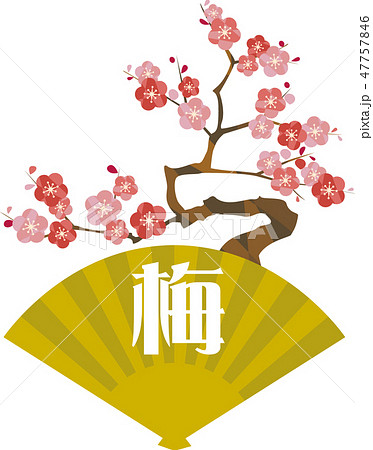 松竹梅の梅 47757846