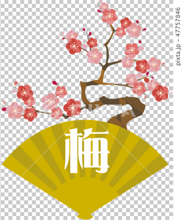 松竹梅の梅 47757846