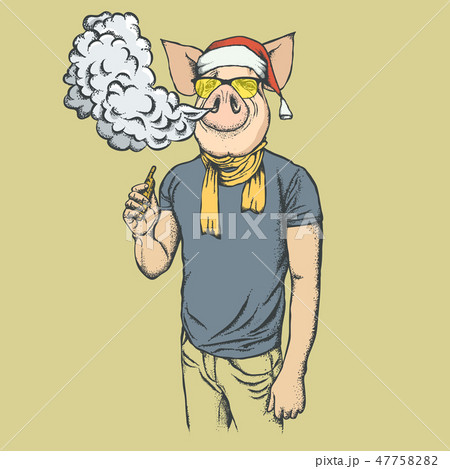 Pig Christmas and New Year vector concept 47758282