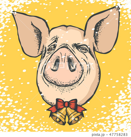 Pig Christmas and New Year vector concept Pig Christmas and New Year vector concept 47758283