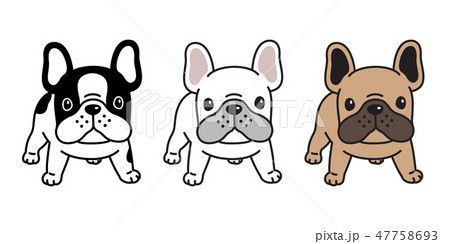 dog vector french bulldog icon cartoon character 47758693