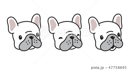 dog vector french bulldog icon cartoon character 47758695