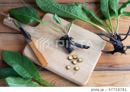 Cut-up comfrey root on a table 47758781