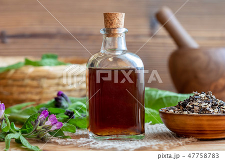Comfrey tincture with comfrey root and fresh plant 47758783