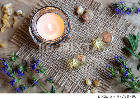 A bottle of hyssop essential oil with fresh hyssop A bottle of hyssop essential oil with fresh hyssop 47758796