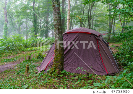 風景物語(キャンプ場の風景) 風景物語(キャンプ場の風景) 47758930