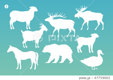 Animals silhouette set. White silhouette of animals 47759002
