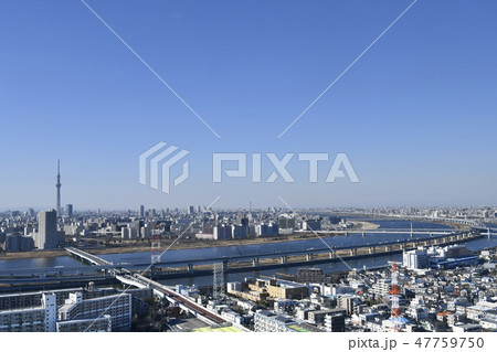 日本の東京都市景観　荒川やボートレース江戸川（画面右付近）などを望む（左に東京スカイツリー） 47759750