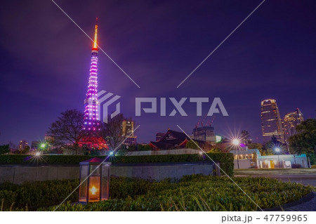 芝公園から眺める東京タワー 芝公園から眺める東京タワー 47759965