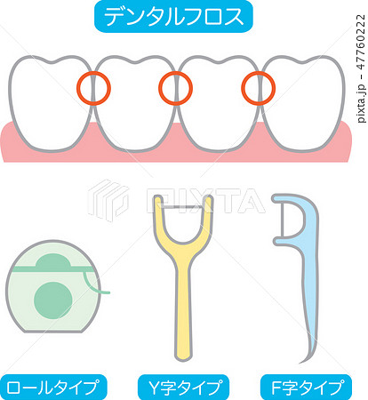 デンタルフロスと歯のイラスト素材