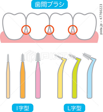 歯間ブラシと歯のイラスト素材