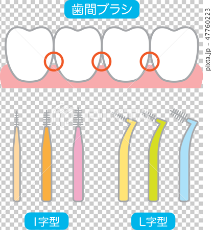 歯間ブラシと歯のイラスト素材