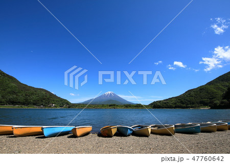 世界遺産　富士山　精進湖　初夏　新緑 47760642
