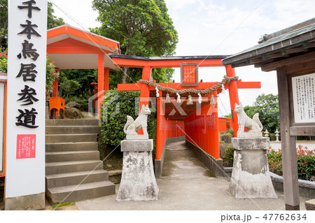 福徳稲荷の千本鳥居 47762634