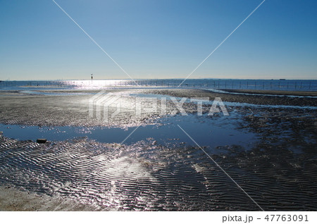 三番瀬（千葉県船橋市） 47763091
