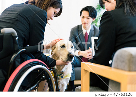 日本ユニバーサルマナー協会監修素材 障害者 車椅子 介助犬 ビジネス 日本ユニバーサルマナー協会監修素材 障害者 車椅子 介助犬 ビジネス 47763120