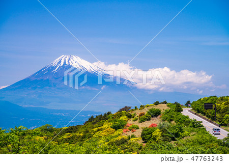 (静岡県)伊豆スカイラインから望む富士山 (静岡県)伊豆スカイラインから望む富士山 47763243