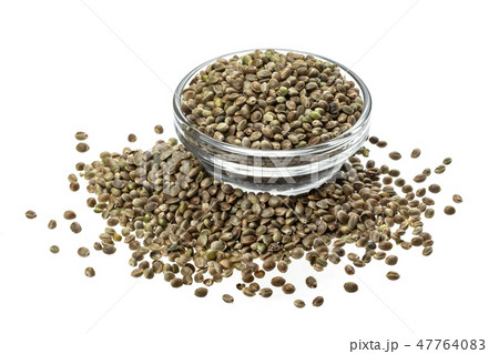 Hemp seeds in bowl isolated on white background, close up, macro 47764083
