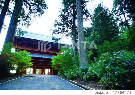 高野山 金剛峯寺 総本山　大門 ／ 総門　（歌山県 伊都郡 高野町） 47764472