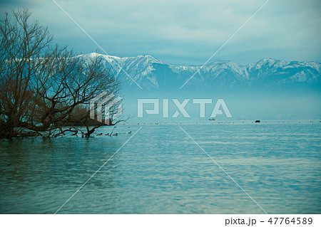 びわ湖冬景色2019 47764589