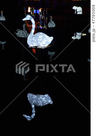 榛名湖イルミネーション(Illumination at Haruna lake) 47765009