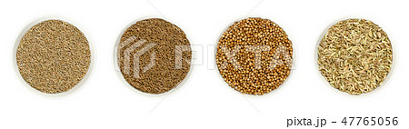 Anise, caraway, coriander and fennel seeds 47765056