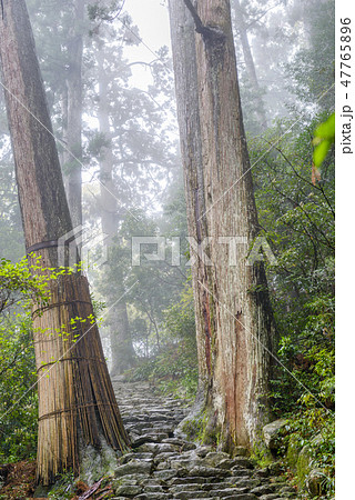 The Kumano Kodo trail, a sacred trail 47765896