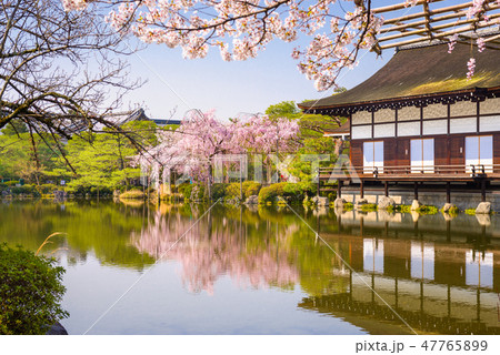 Kyoto, Japan spring at Heian Shrine's pond garden. 47765899