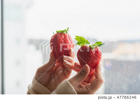 Japan strawberry in hand 47766246